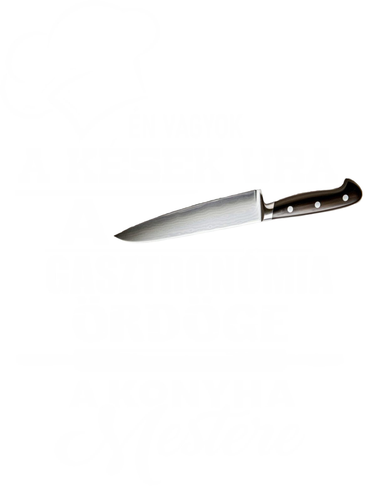 Konyha ördöge2